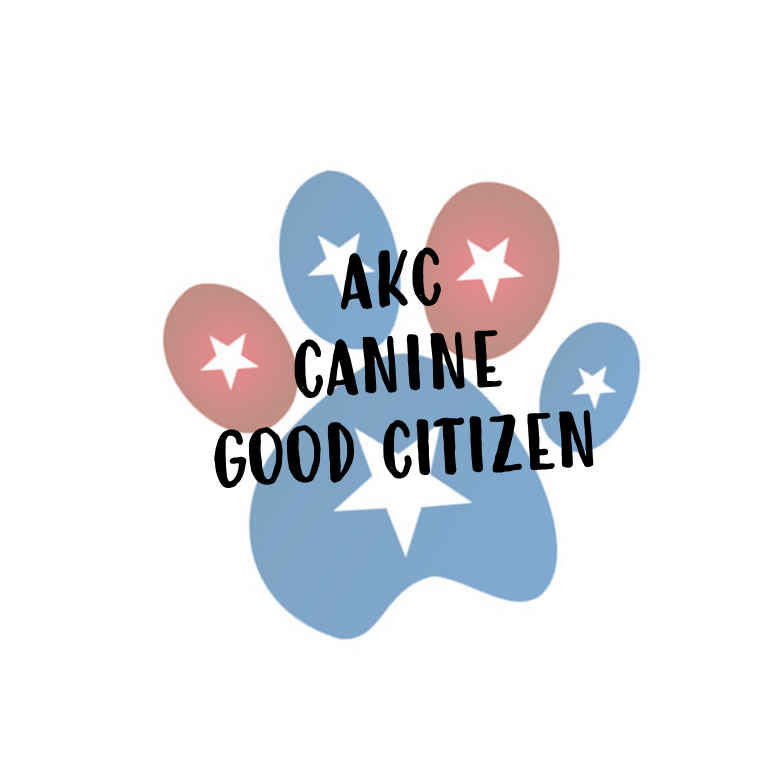 Akc cgc training hot sale